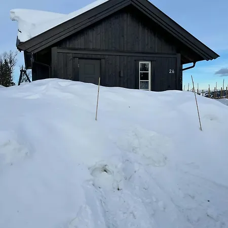 Hytte Med Panoramautsikt Over Fjellet نيسبين