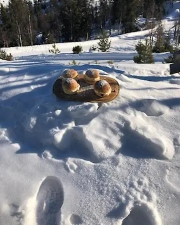Hytte Med Panoramautsikt Over Fjellet