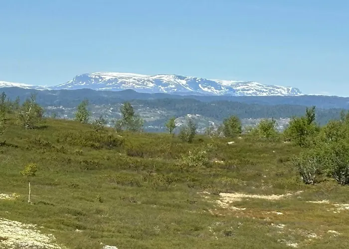 펜션 With Panoramic Views Over The Mountains 네스뷔엔