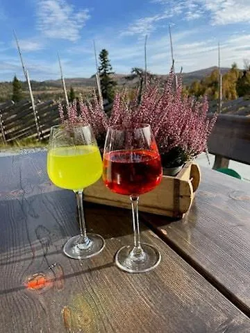 펜션 With Panoramic Views Over The Mountains 네스뷔엔